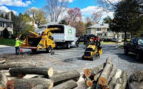 Lawn Grading and Leveling in Mcgregor, FL